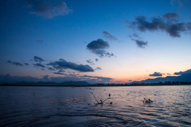 Loktak Lake - Sangai Deer
